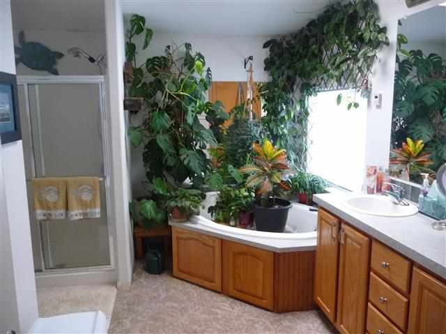 29914 N Dunn Rd - Photo 11