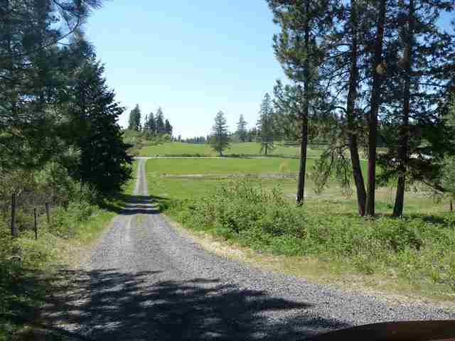 29914 N Dunn Rd - Photo 8
