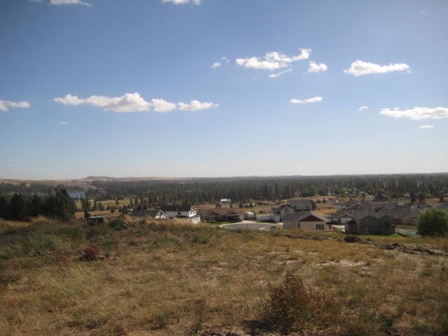 1115 N Courtney Ct - Photo 3