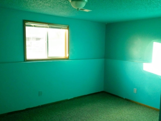 1027 E Columbia Ave - Photo 12