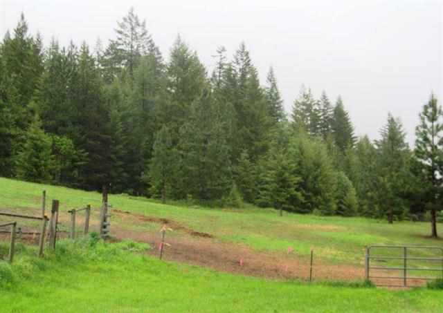 1581 B Matson Rd - Photo 3