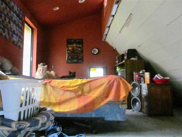 1581 B Matson Rd - Photo 8