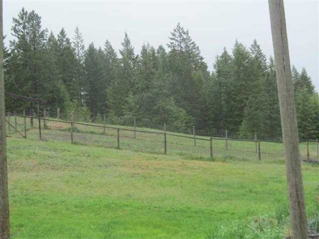 1581 B Matson Rd - Photo 10