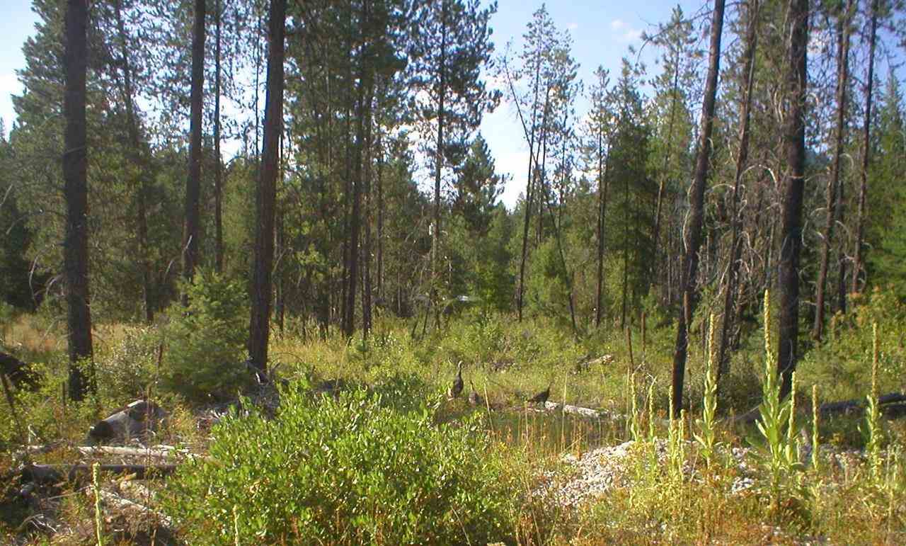 4216 DEER CREEK Rd - Photo 14