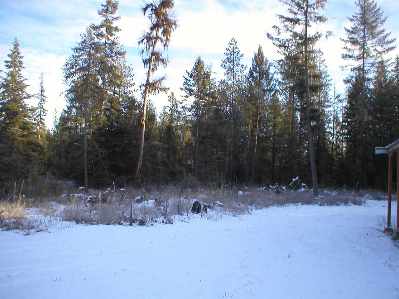 4216 DEER CREEK Rd - Photo 4