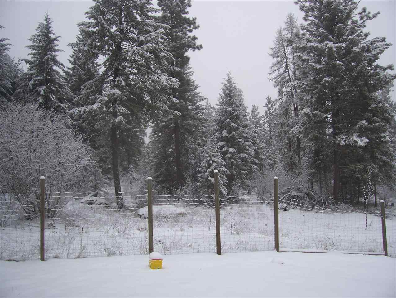1342 Diamond View Rd - Photo 11