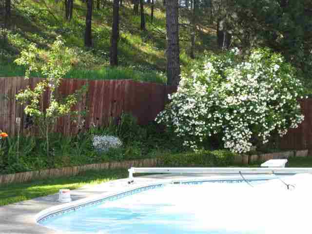 14909 S Valley Chapel Rd - Photo 3