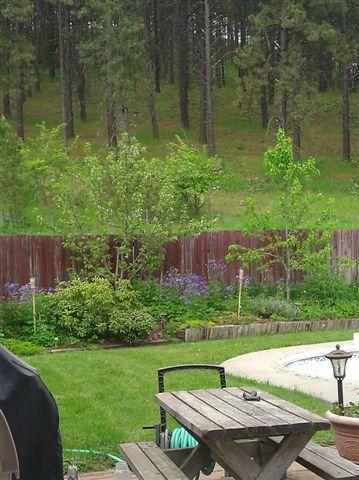 14909 S Valley Chapel Rd - Photo 5