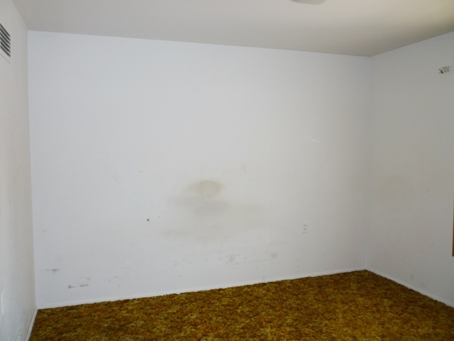 309 Marshall St - Photo 11