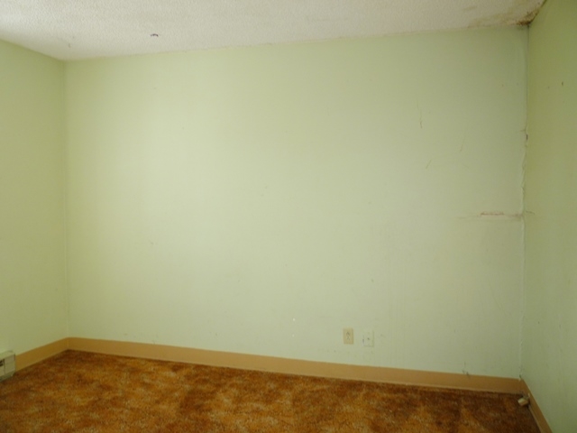 309 Marshall St - Photo 10