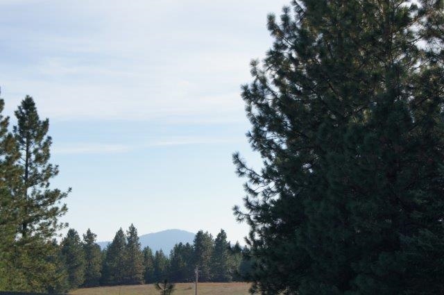 4700 Whittier Rd - Photo 12
