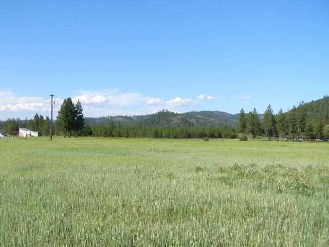 4724 Johnny Walker Way - Photo 4