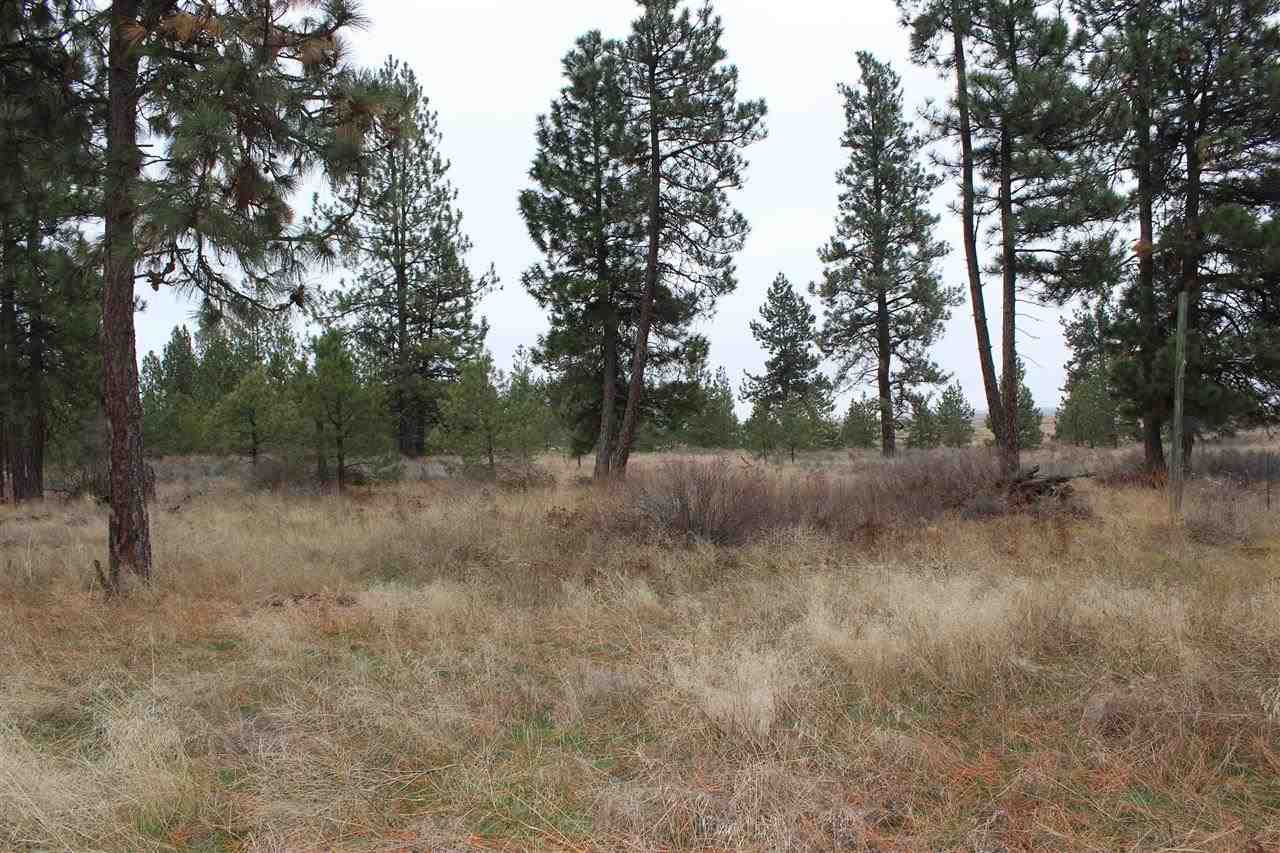 52044 E WHISPERING PINES Dr - Photo 6