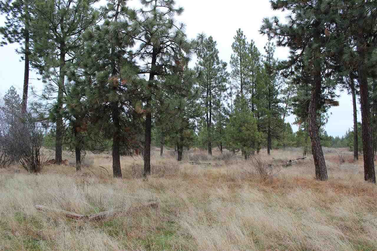 52044 E WHISPERING PINES Dr - Photo 7