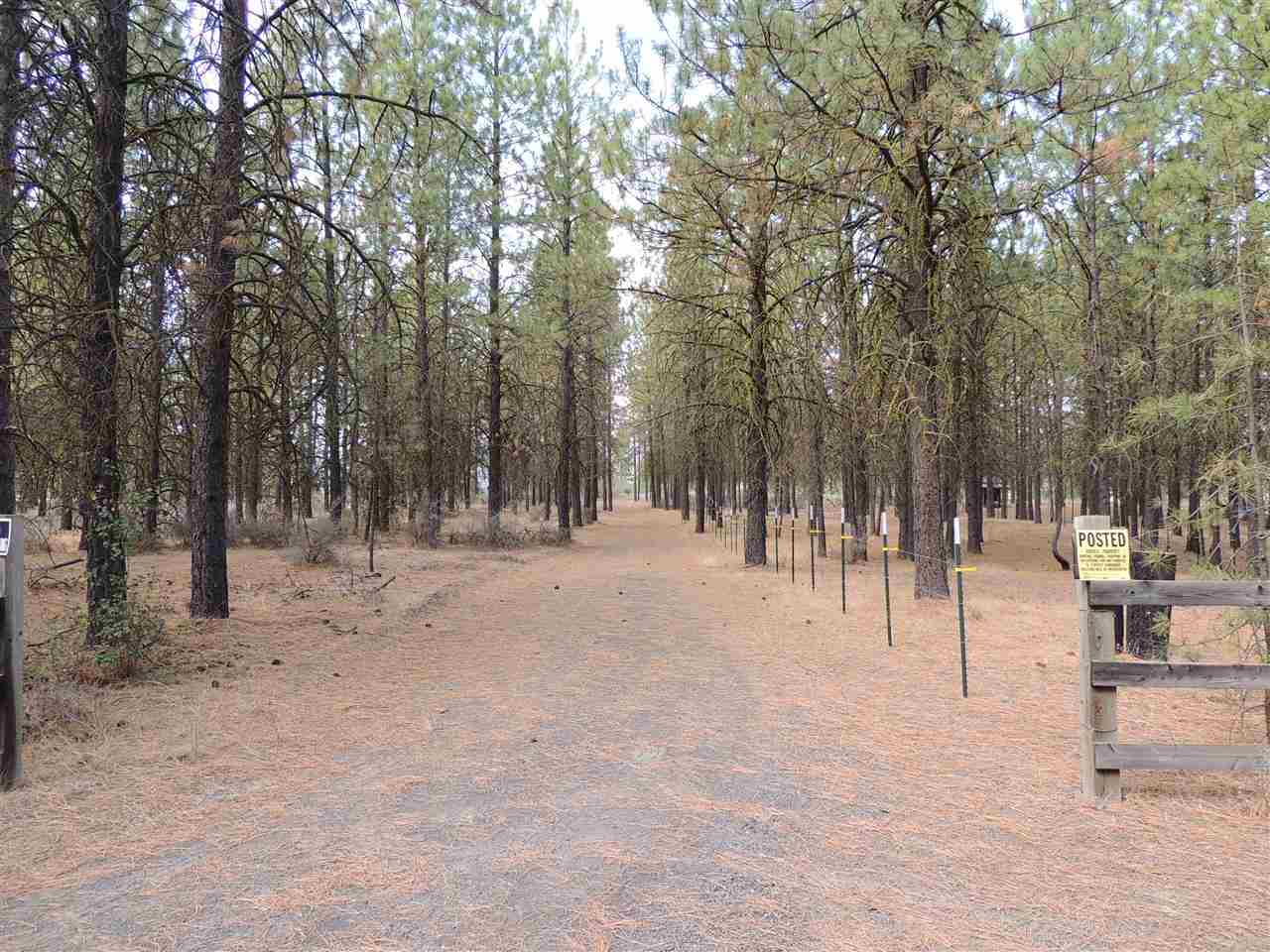 25879 Skyview Pl E - Photo 9