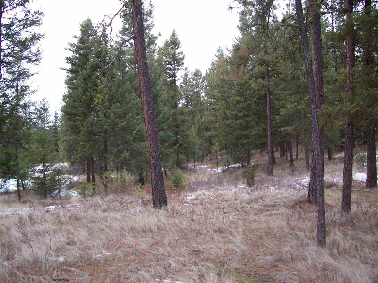 2007 B TATE Rd - Photo 14