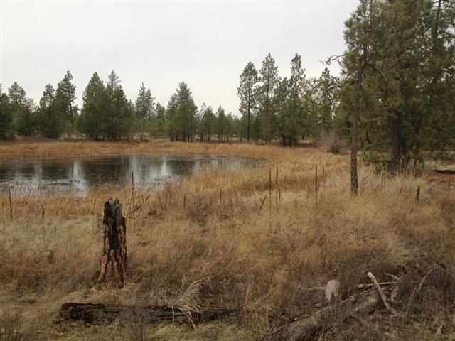 19729 S Harrison Rd - Photo 3