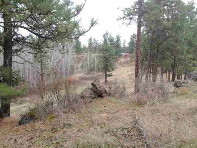 19729 S Harrison Rd - Photo 9