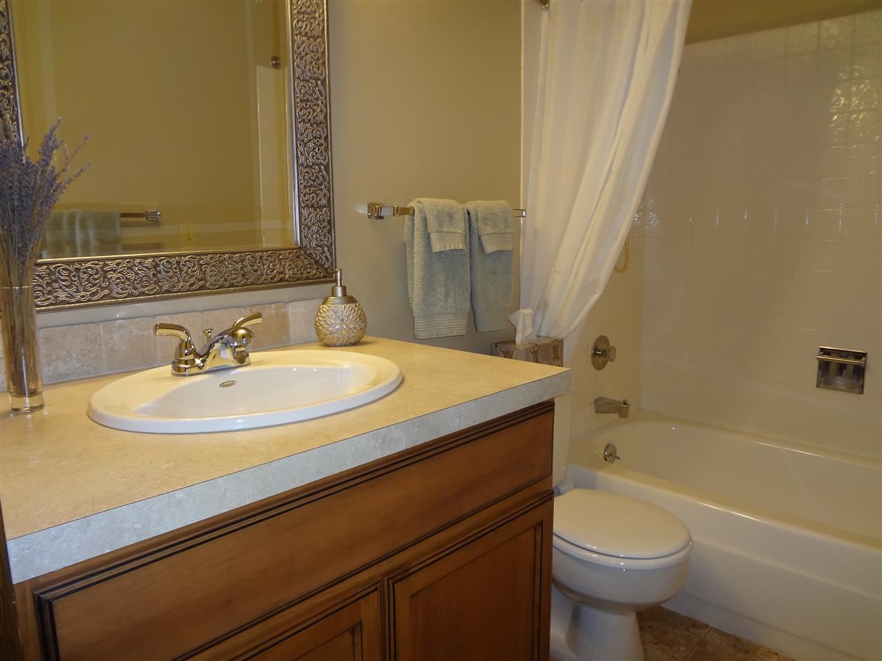 1115 E CHRISTMAS TREE Ln - Photo 14