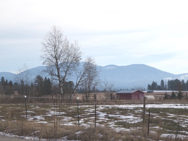 7411 E Oregon Rd - Photo 3