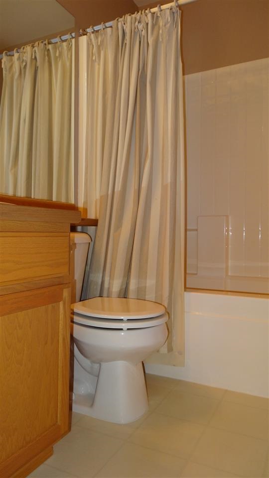 3609 E Alexandra Ln. - Photo 12