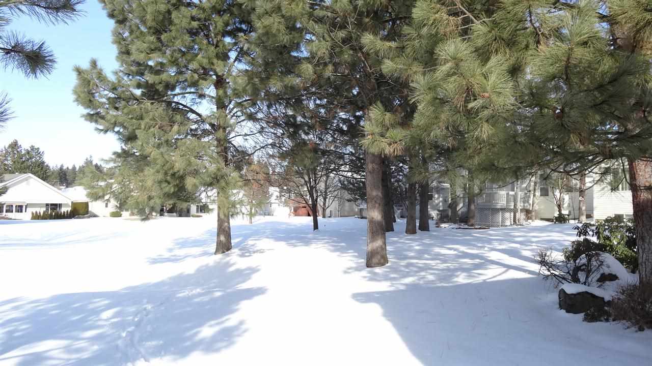 3609 E Alexandra Ln. - Photo 20