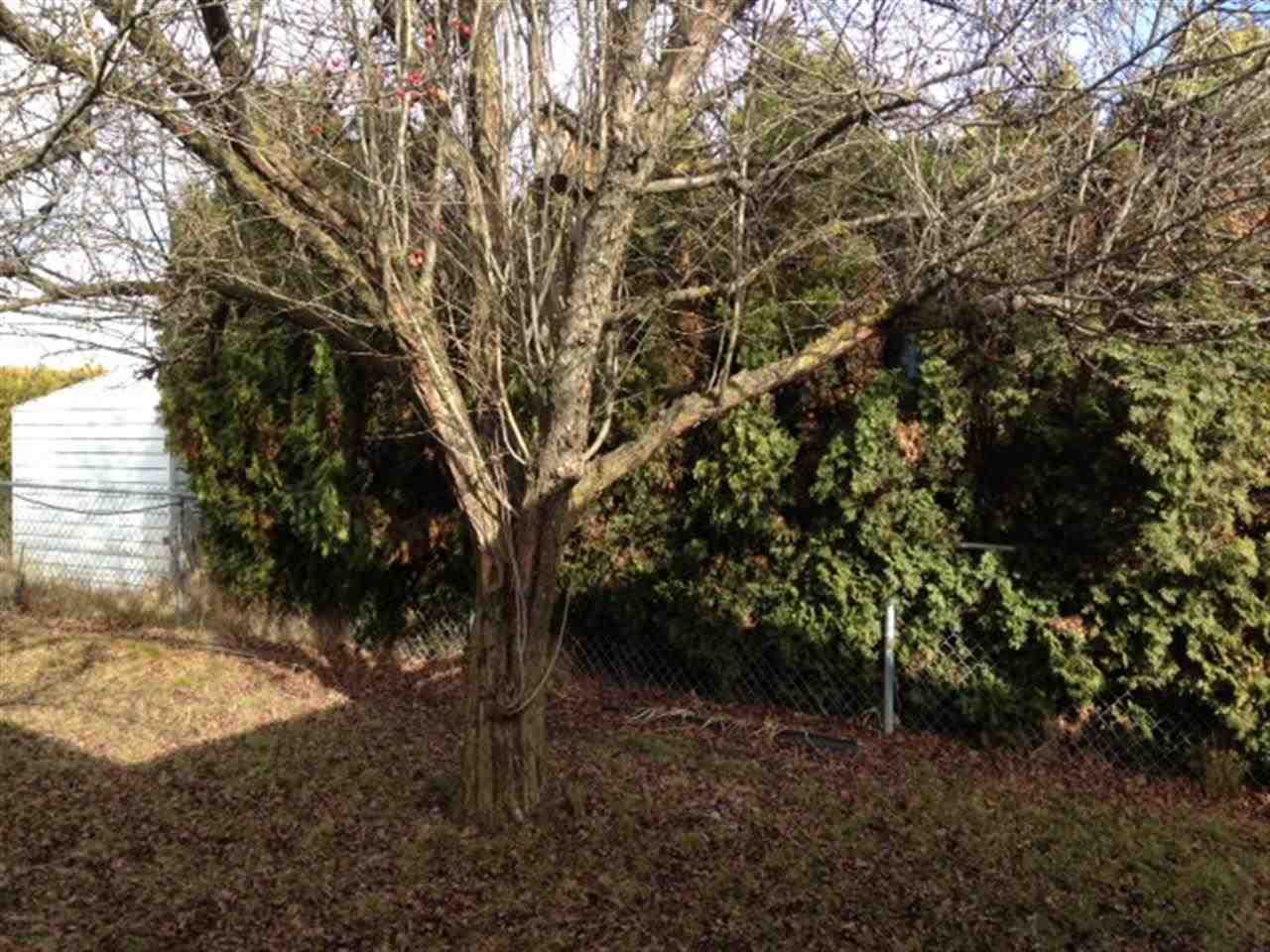 1205 E Lyons Ave - Photo 12