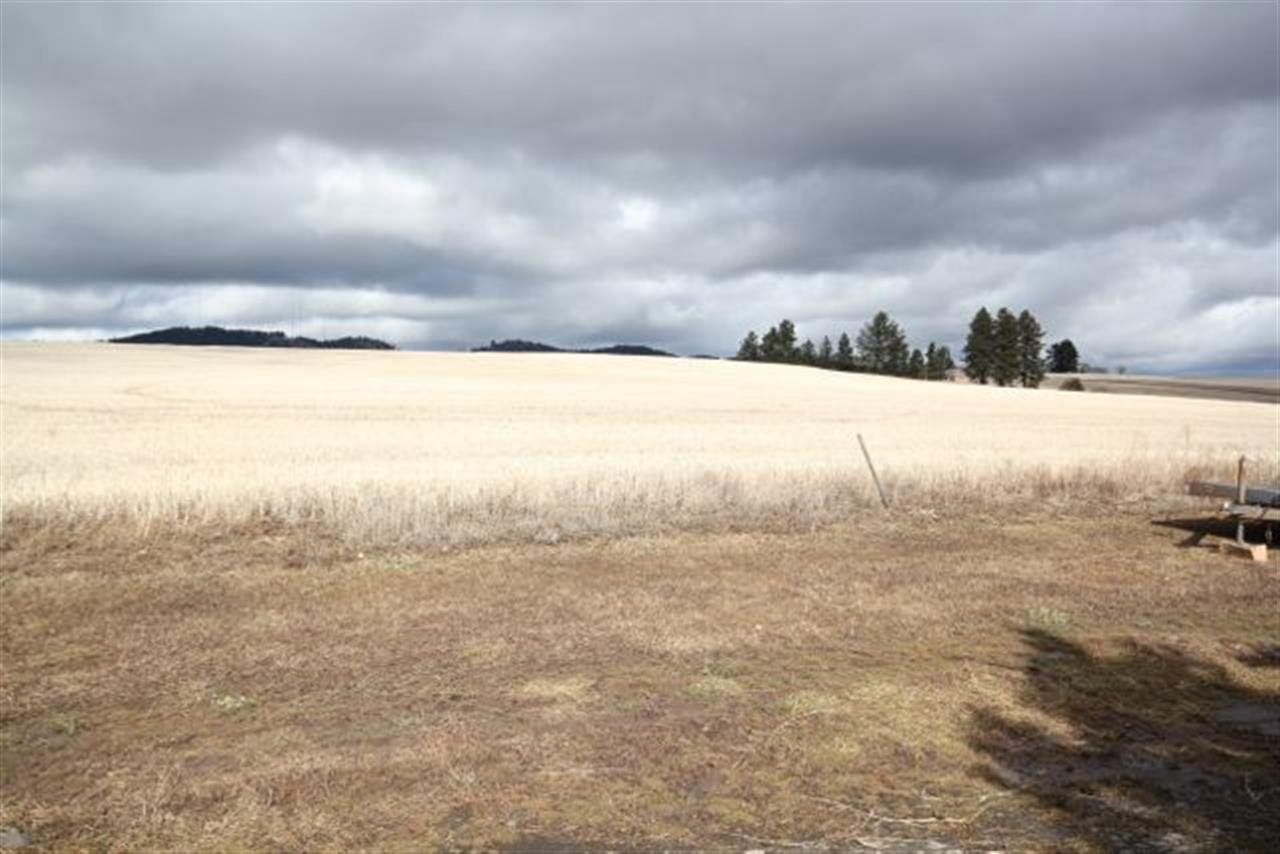 8815 E Old Palouse Hwy - Photo 6