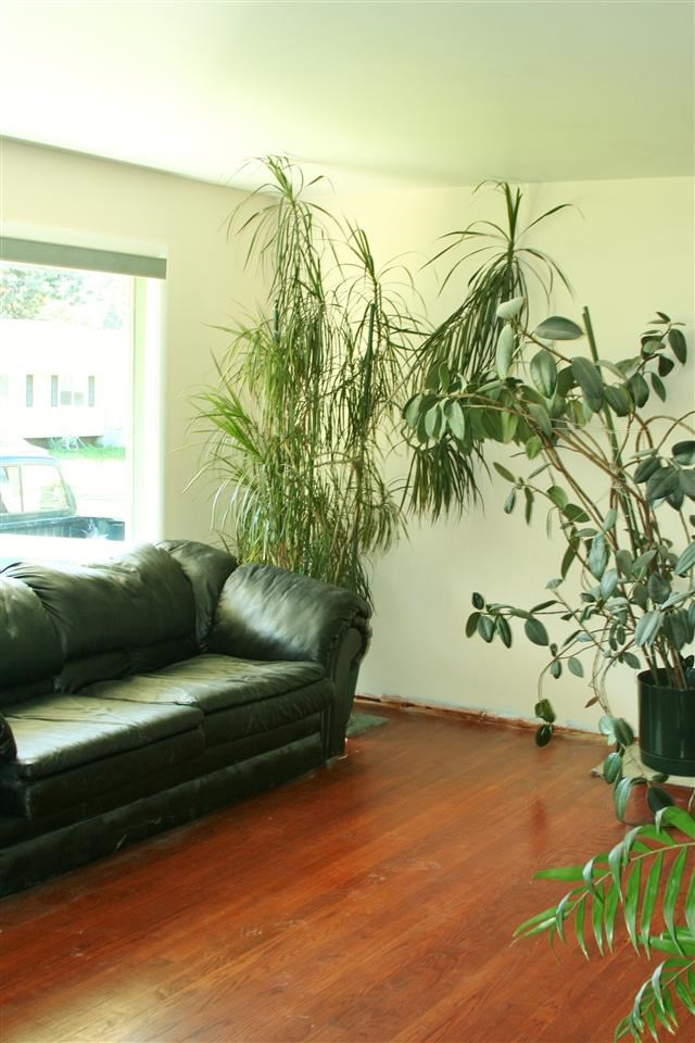 3022 W Rosewood Ave - Photo 3