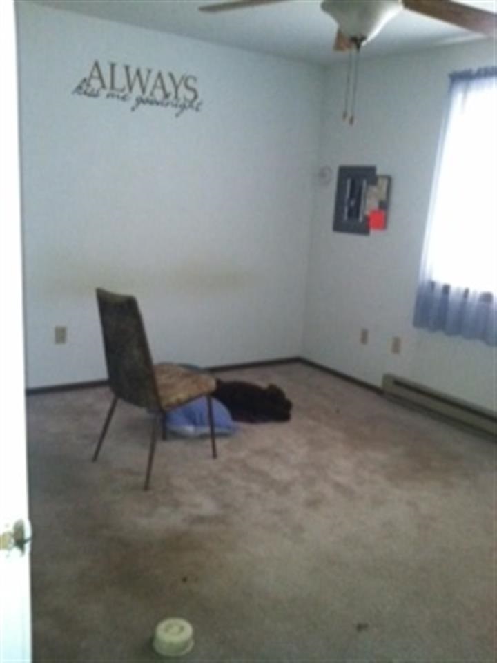 509 N Grace St - Photo 9