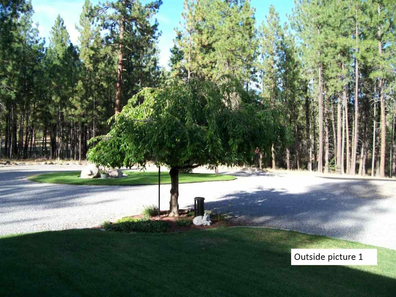 11518 S Spotted Rd - Photo 5