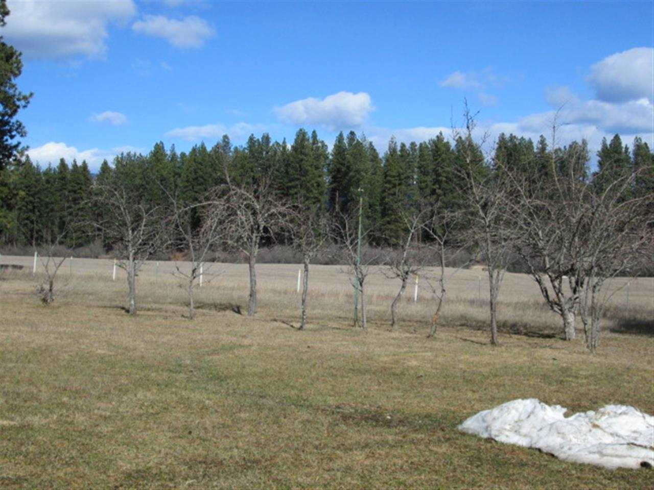 42371 Hwy  20 - Photo 15