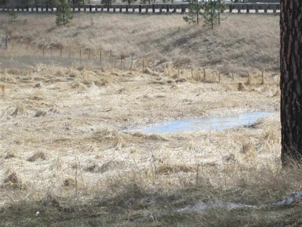 42371 Hwy  20 - Photo 10