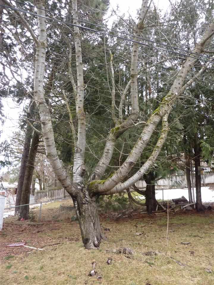 3827 E 16th Ave - Photo 12