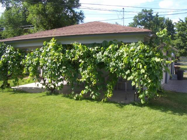2903 N CUBA St - Photo 20