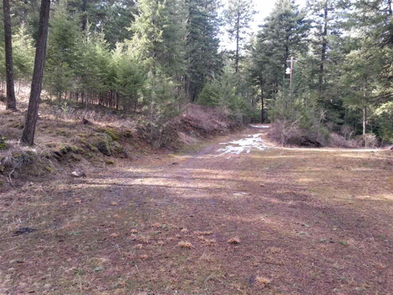 25803 E Hauser Lake Rd - Photo 11