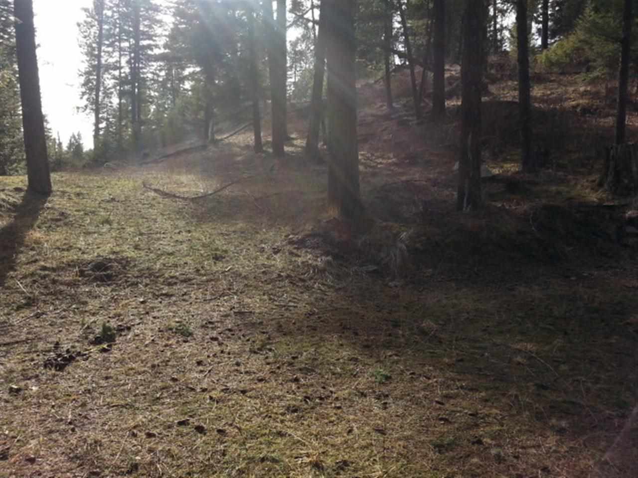 25803 E Hauser Lake Rd - Photo 12