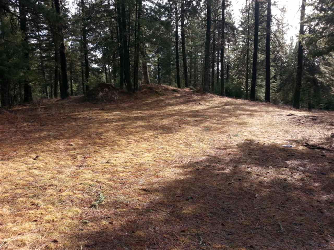 25803 E Hauser Lake Rd - Photo 13
