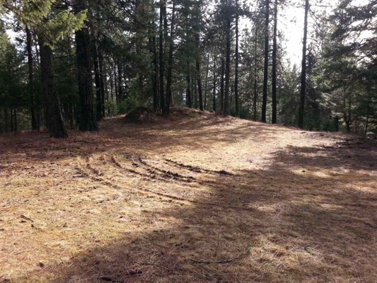 25803 E Hauser Lake Rd - Photo 14