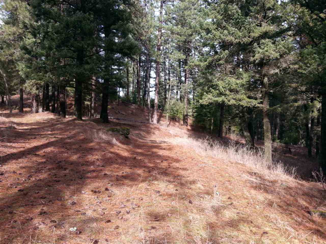 25803 E Hauser Lake Rd - Photo 15