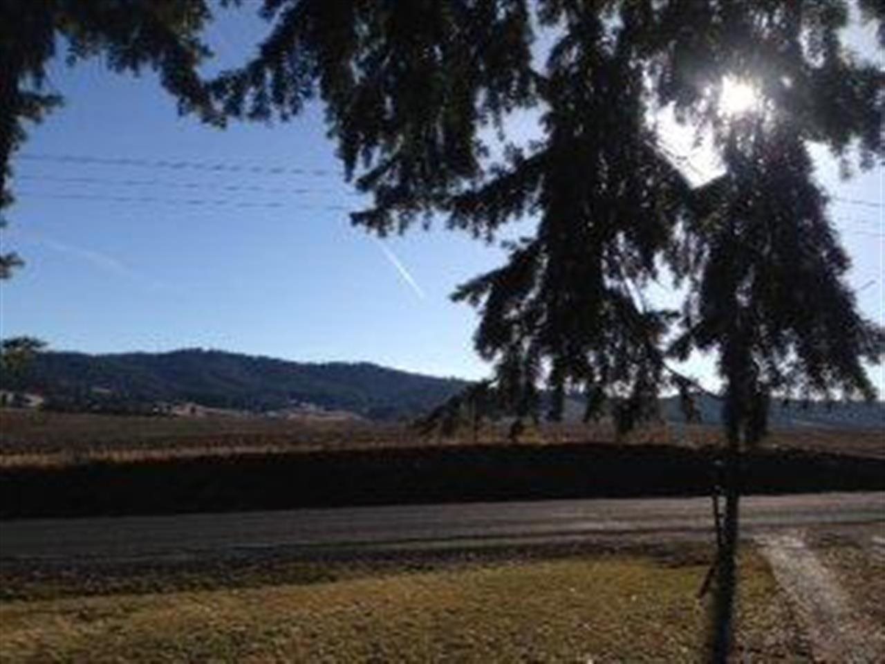 10707 Forker Rd - Photo 5