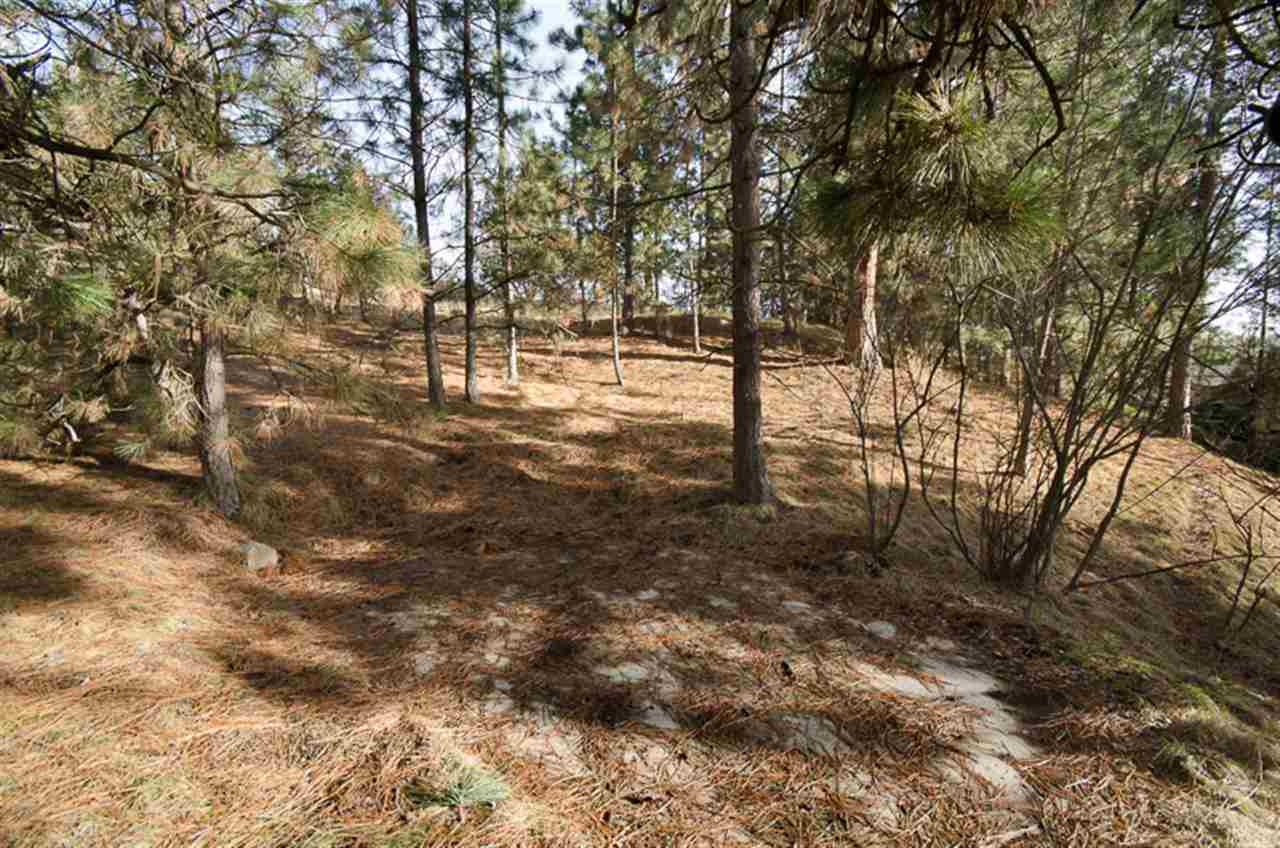 2519 S Sonora Dr - Photo 5