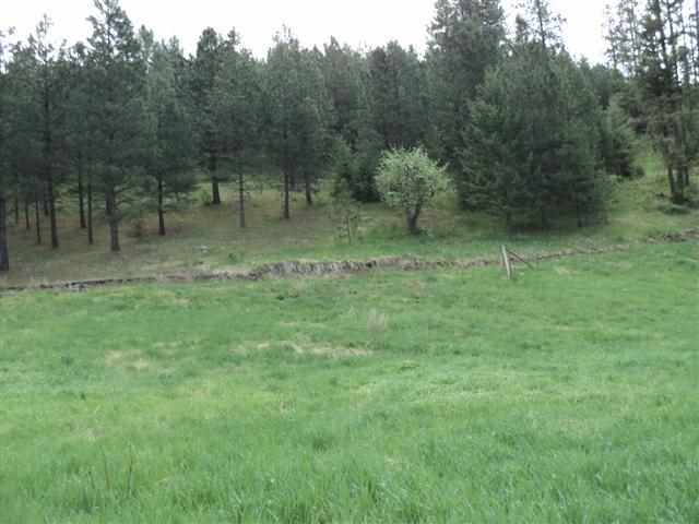 3039 PLEASANT VALLEY - Photo 6
