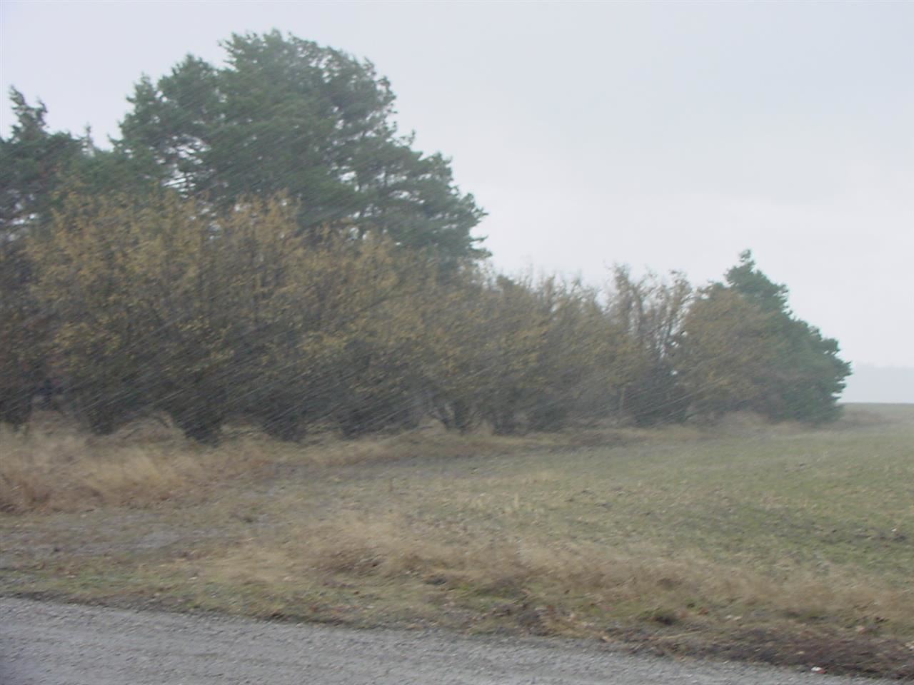 5022 E Orchard Rd - Photo 3