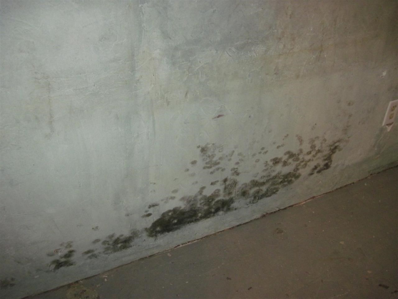 2628 N Napa St - Photo 8