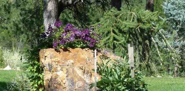 2512 #3 CANYON CREST Way - Photo 7
