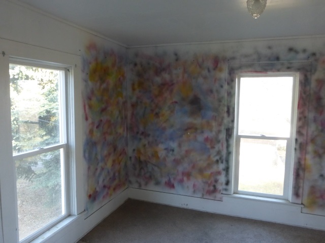 305 W Rednour Street - Photo 15