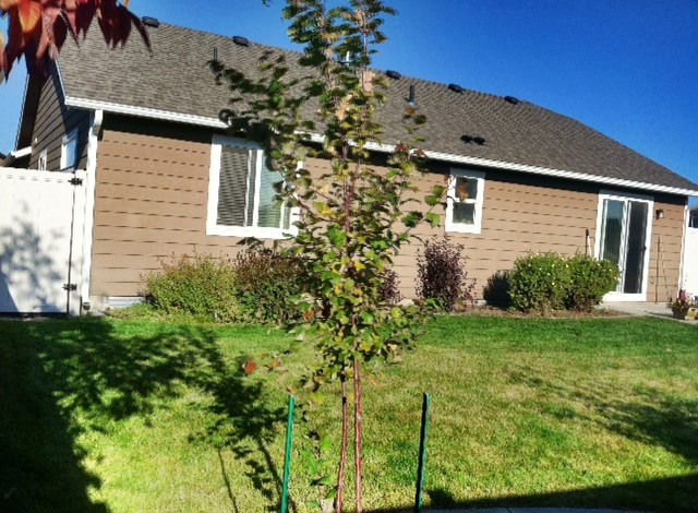 2705 W Ashley Cir - Photo 12