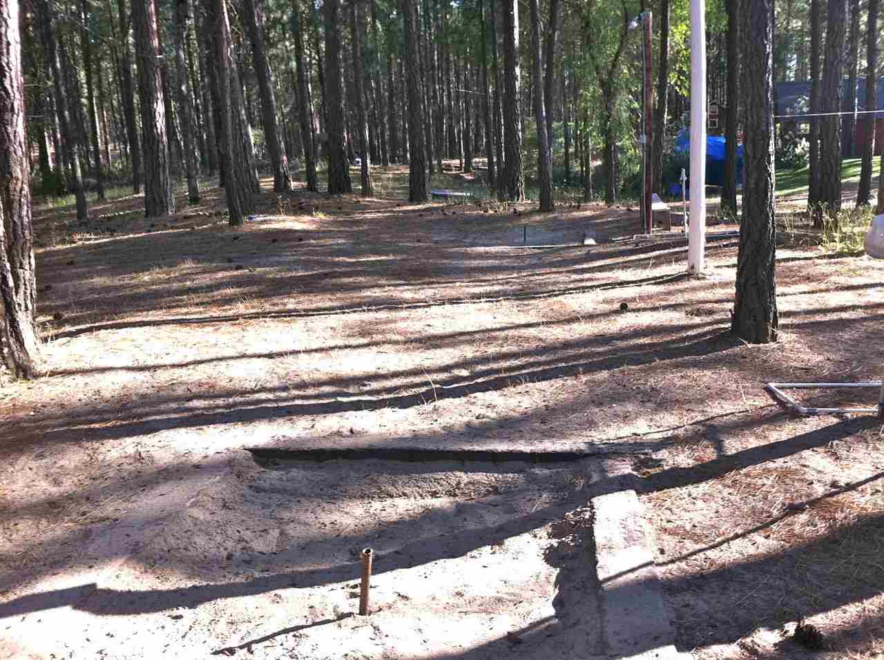 1604-A Rickey Point Rd - Photo 12