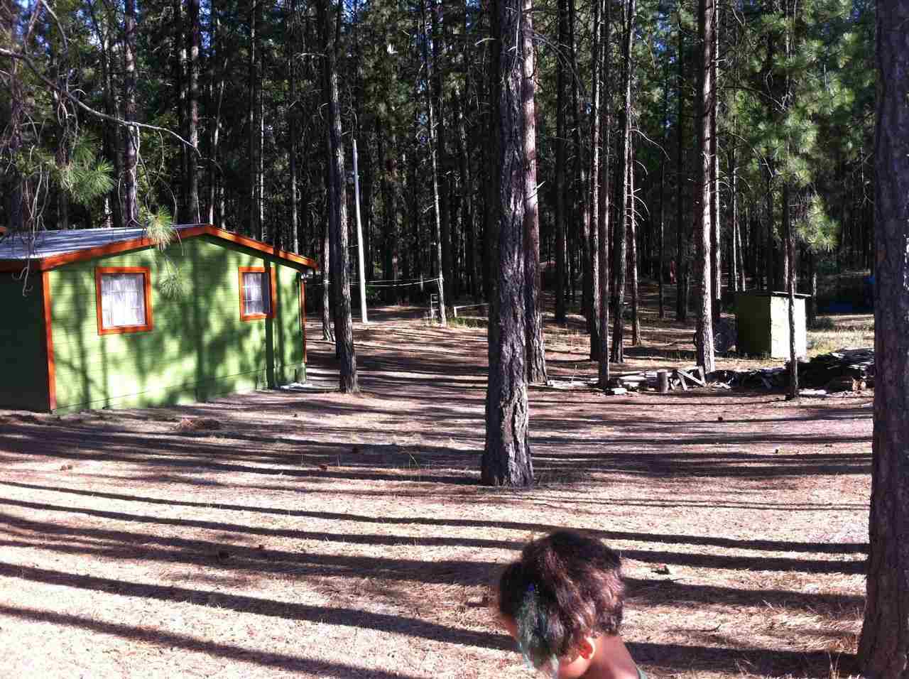 1604-A Rickey Point Rd - Photo 4